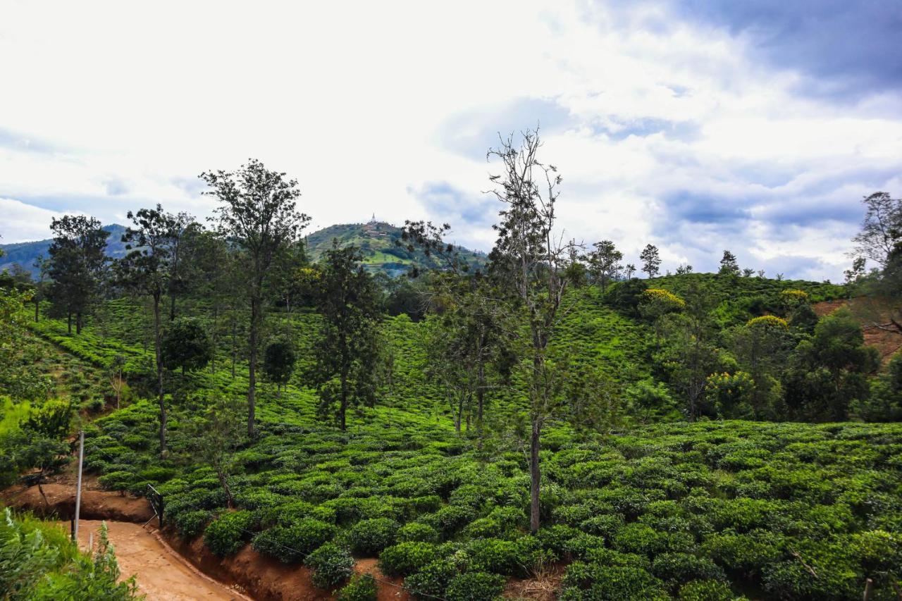 Misty Villas Ella Ngoại thất bức ảnh