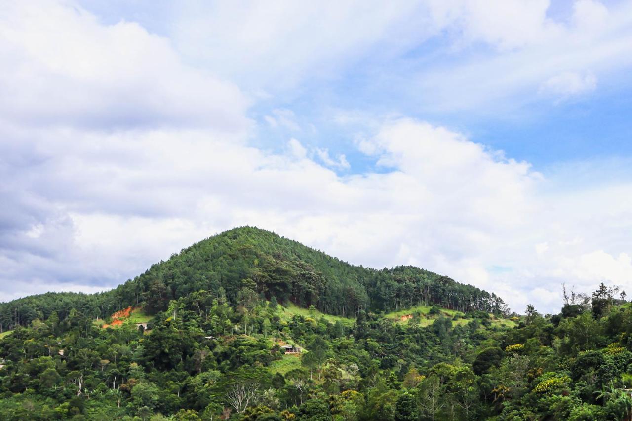 Misty Villas Ella Ngoại thất bức ảnh
